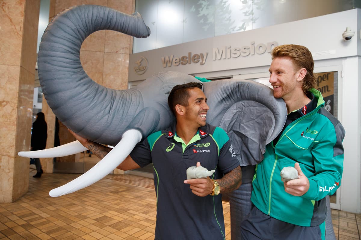 Players help raise the elephant in the room